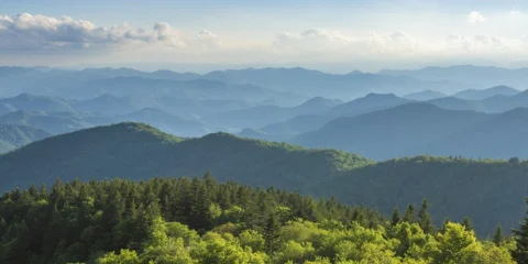The Endangerment Finding: Defending a Cornerstone of Climate Policy