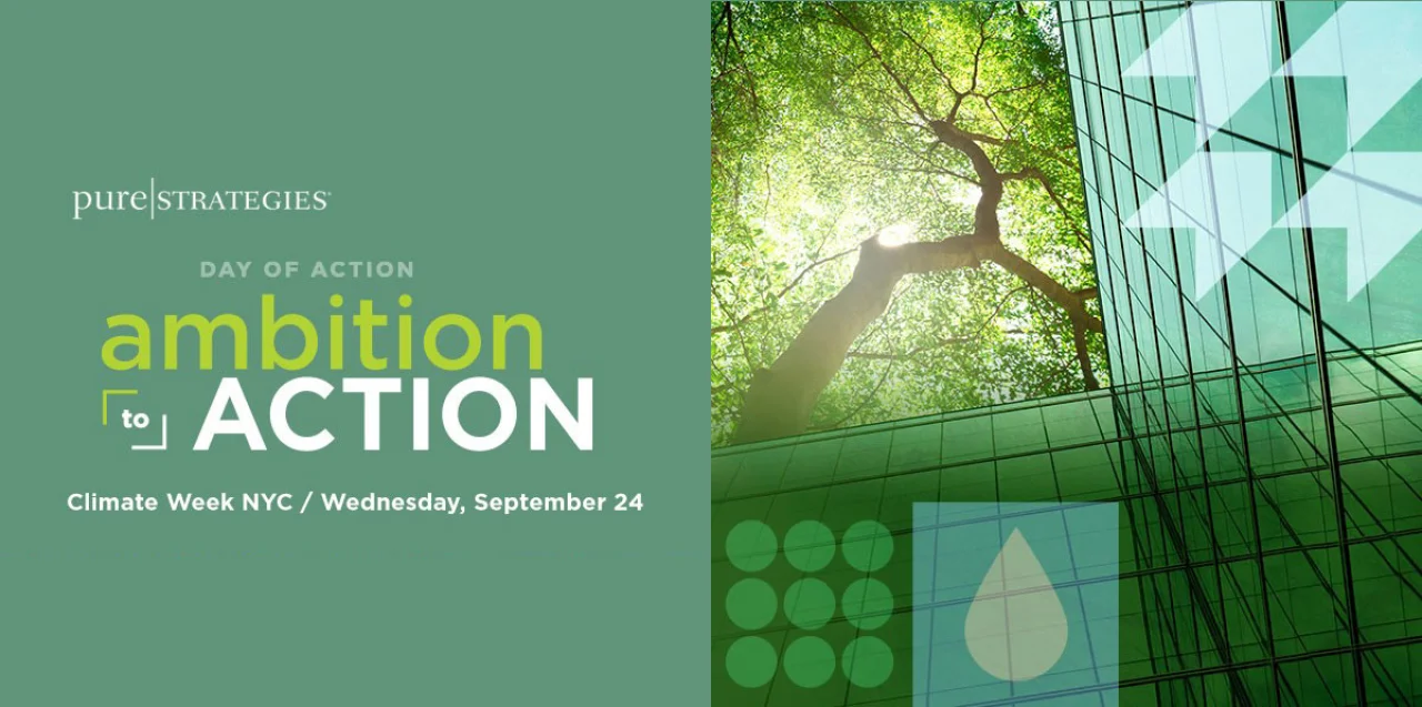 Day of Action (Pure Strategies)