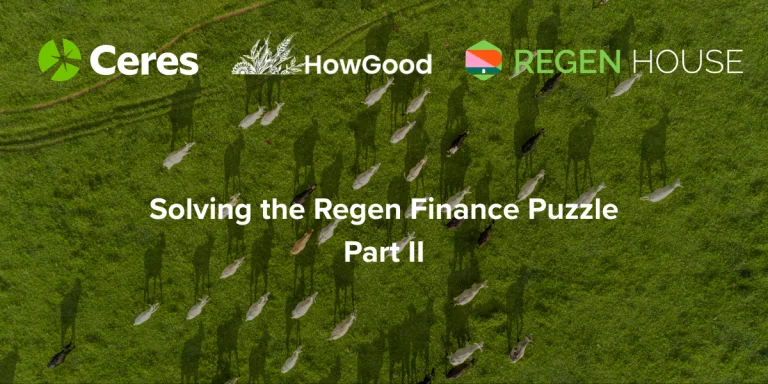 Solving the Regen Finance Puzzle: Part II