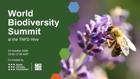 World Biodiversity Summit (World Climate Foundation and TNFD) at COP17