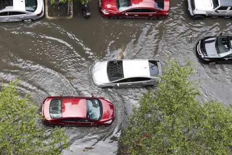 Resiliency and Adaptation Measures for Banks and Insurers