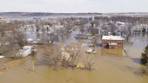 Resiliency and Adaptation Measures for Banks and Insurers