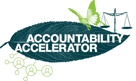 Accountability Accelerator