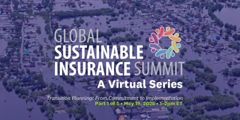 Global Sustainable Insurance Summit: A Virtual Webinar Series (Part 1 Transition Planning: From Commitment to Implementation)