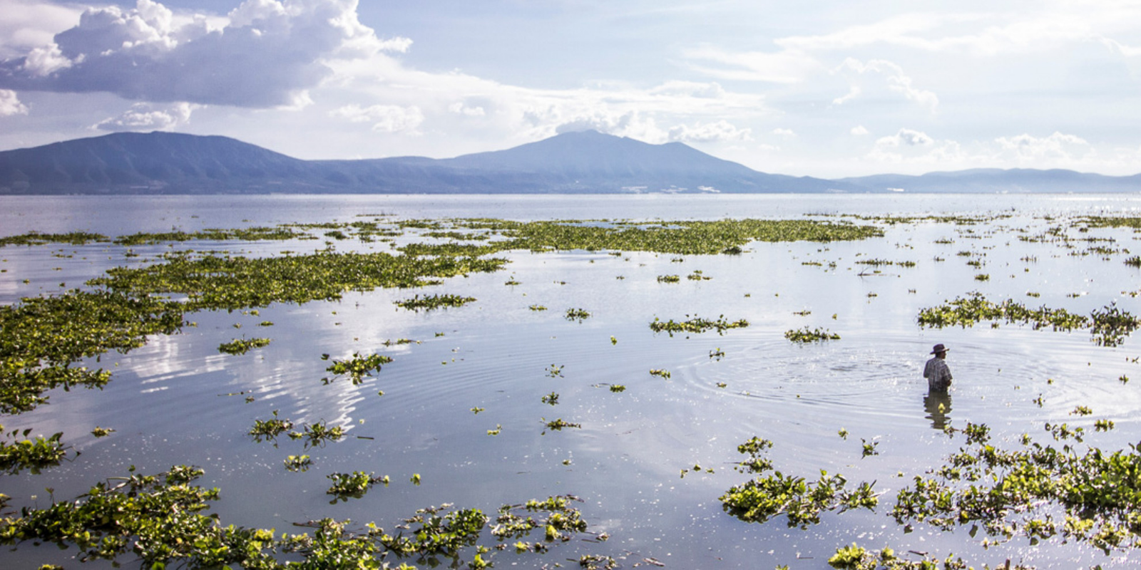 2025 Benchmark Insights: The Tide of Corporate Water Stewardship