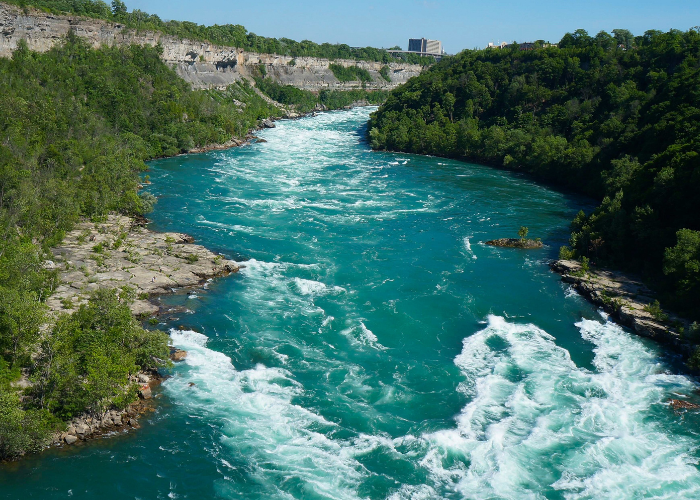 Rushing river through forest