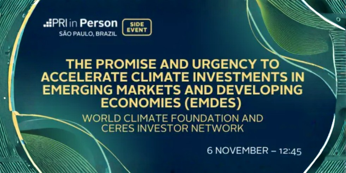 The Promise and Urgency of Accelerating Climate Investments in Emerging Markets and Developing Economies (EMDEs)